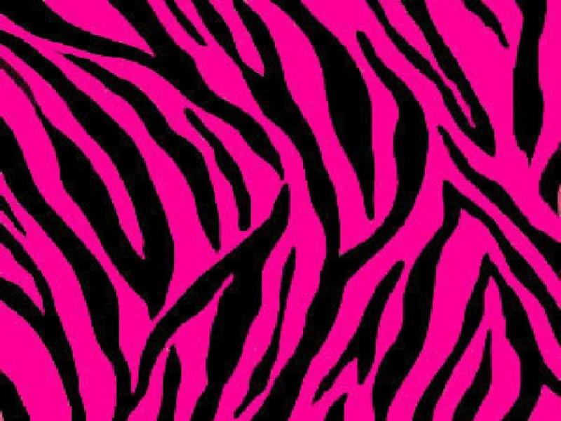 Zebra Pink and Black Zebra Print 1 Desktop Art Backgrounds