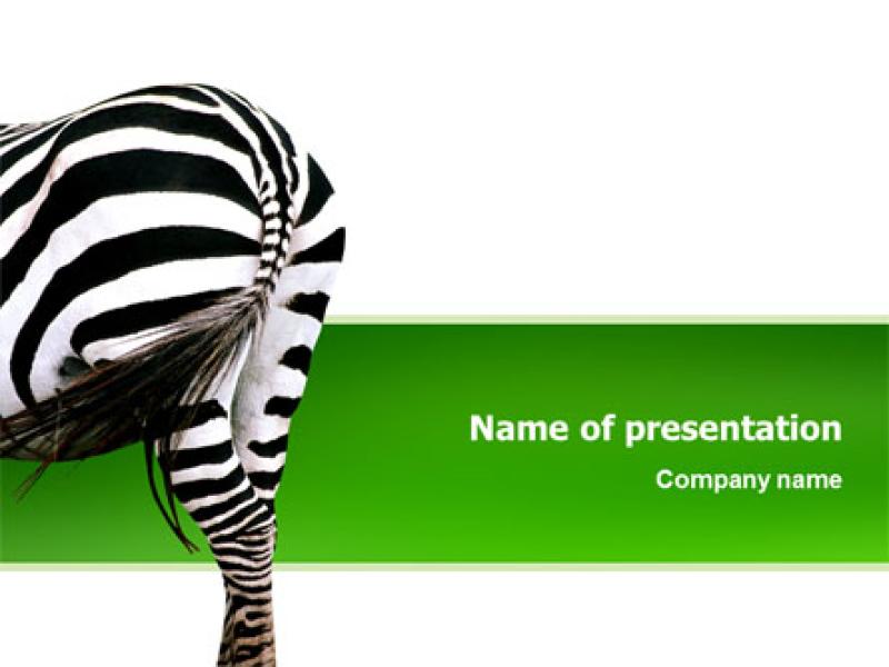 Zebra PowerPoint Template Frame Backgrounds