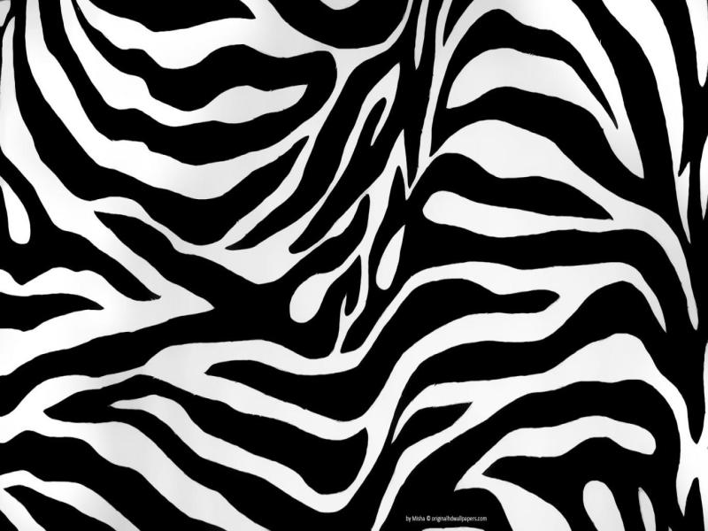 Zebra Print Backgrounds