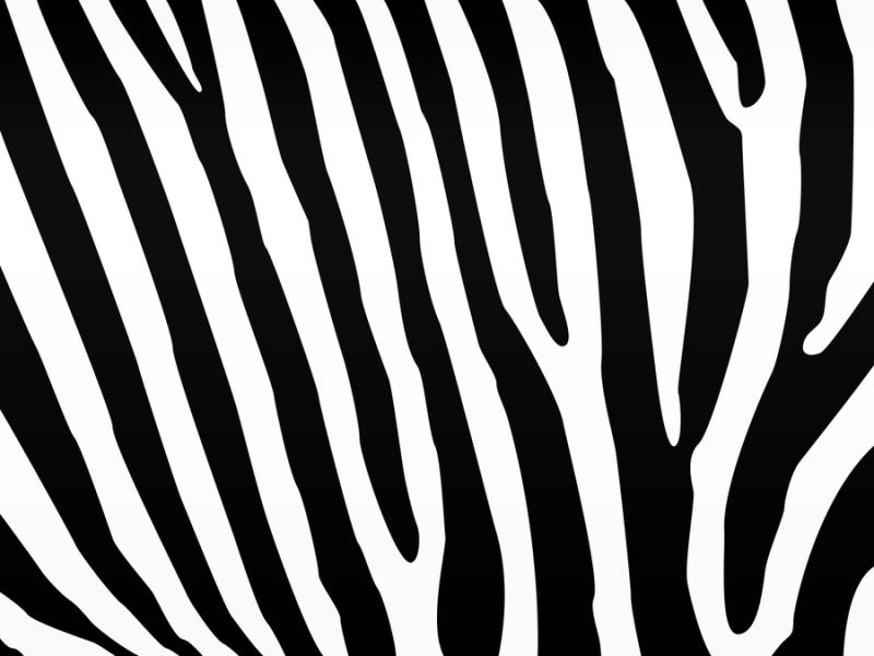 Zebra Print Clipart Backgrounds