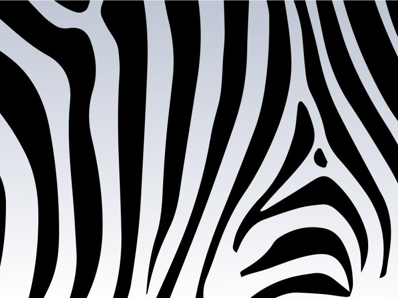 Zebra Print Vector  Free Vector Art Stock   Clip Art Backgrounds