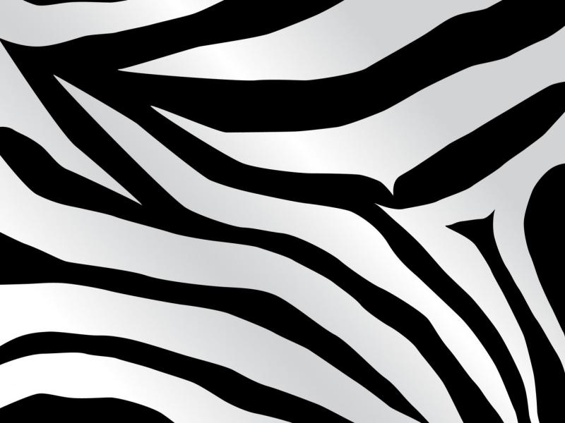 Zebra Slide Backgrounds