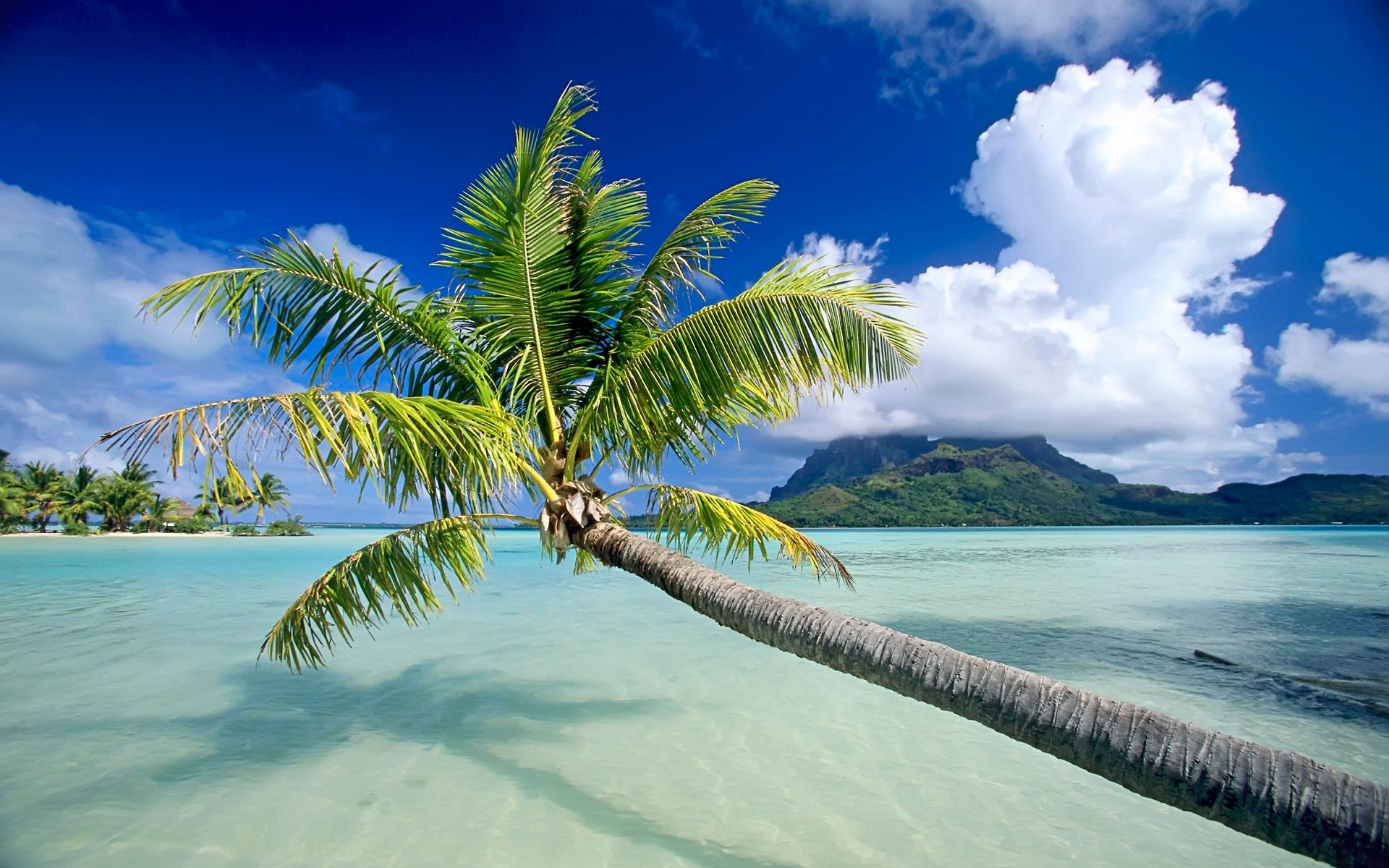 30 HD Tropical Beach image