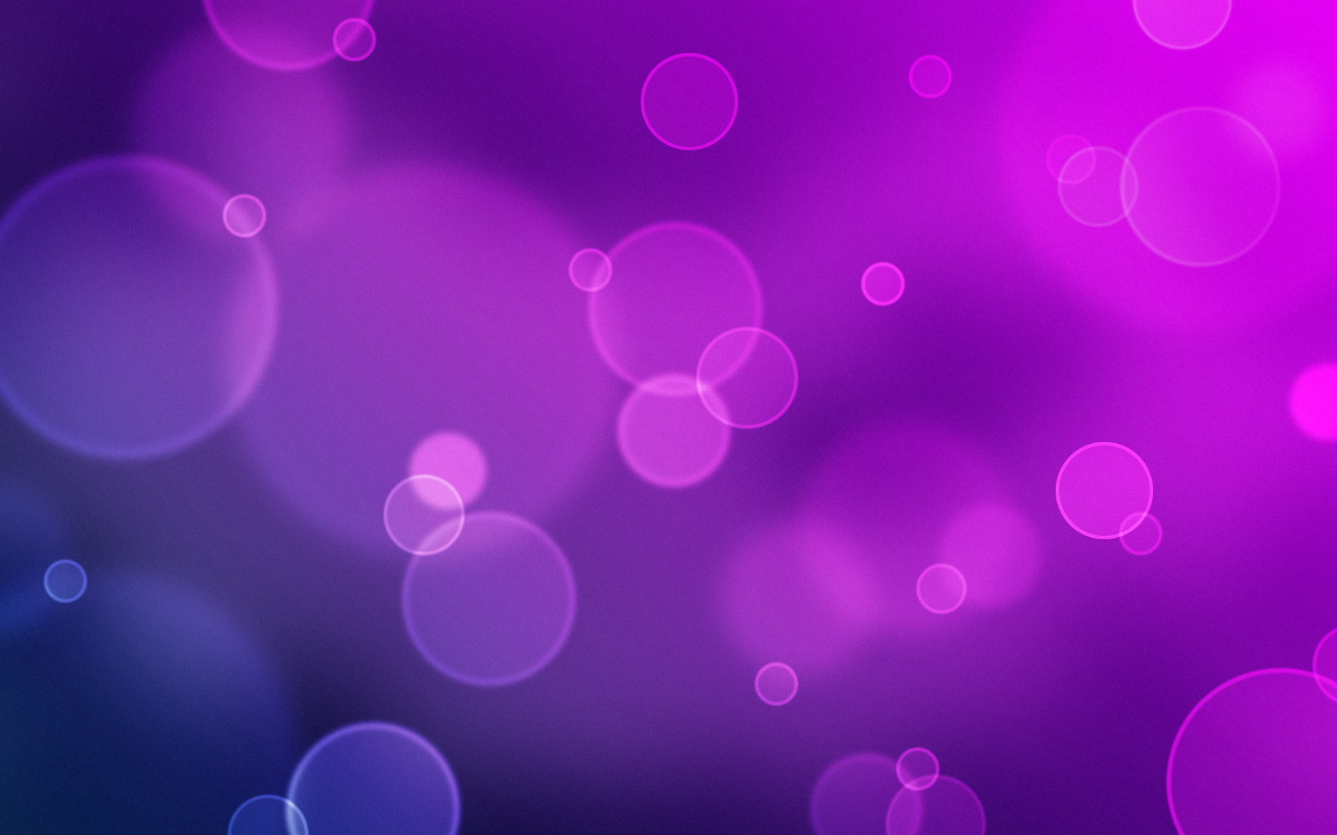 Abstract Purple Bokeh Photo