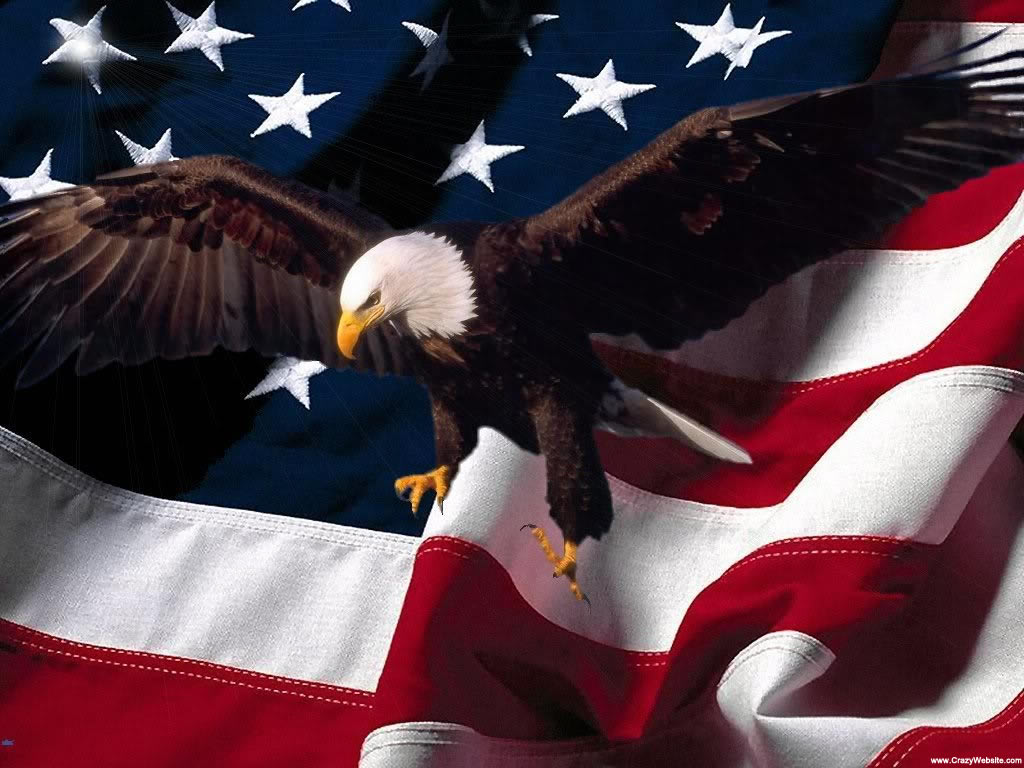 American Eagle Patriotic Photo