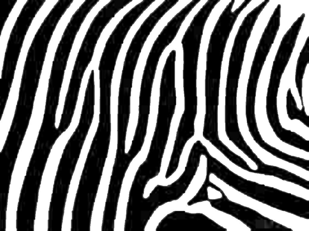 Amper Bae Zebra Print Wallpaper