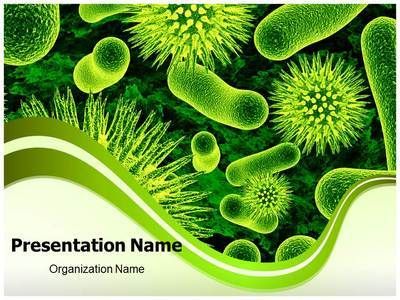 And Related Presentation With Our Bacteria Cells PowerPoint   Download