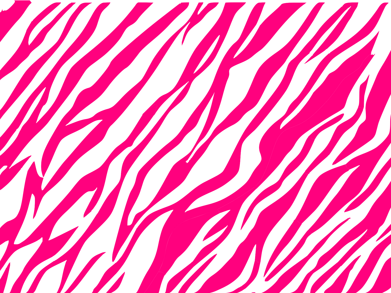 And White Zebra  Pattern Pink White  PPT Graphic