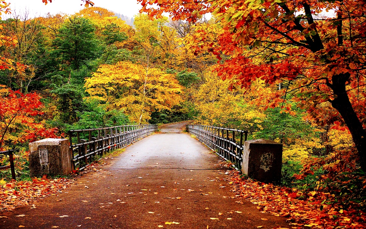 Autumn  Autumn (35867750)  Fanpop Picture