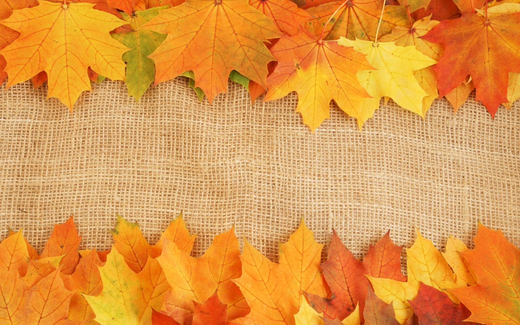 Autumn Leaves Textures Background Autumn   Slides