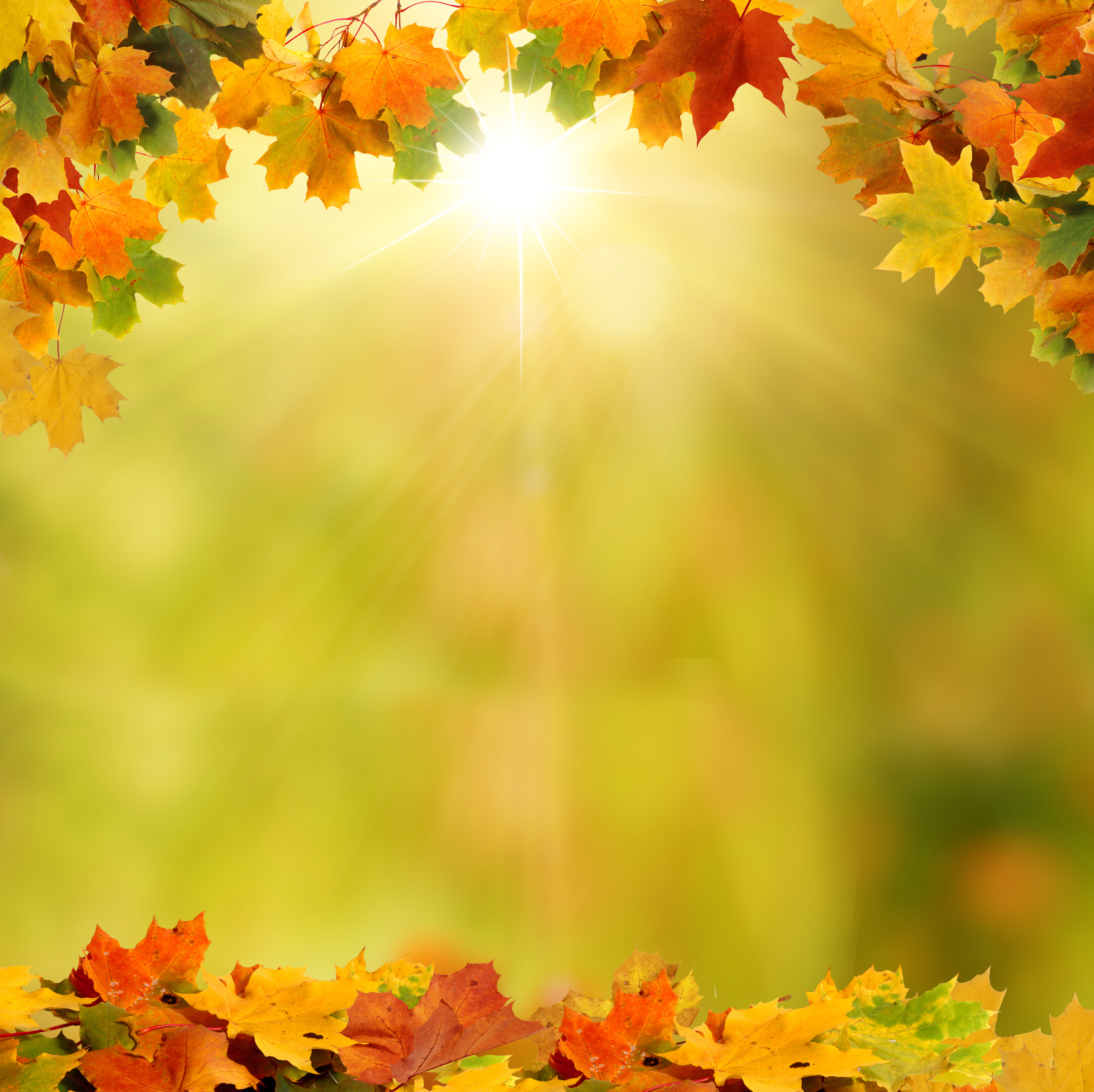 Background With Autumn Leaves Art