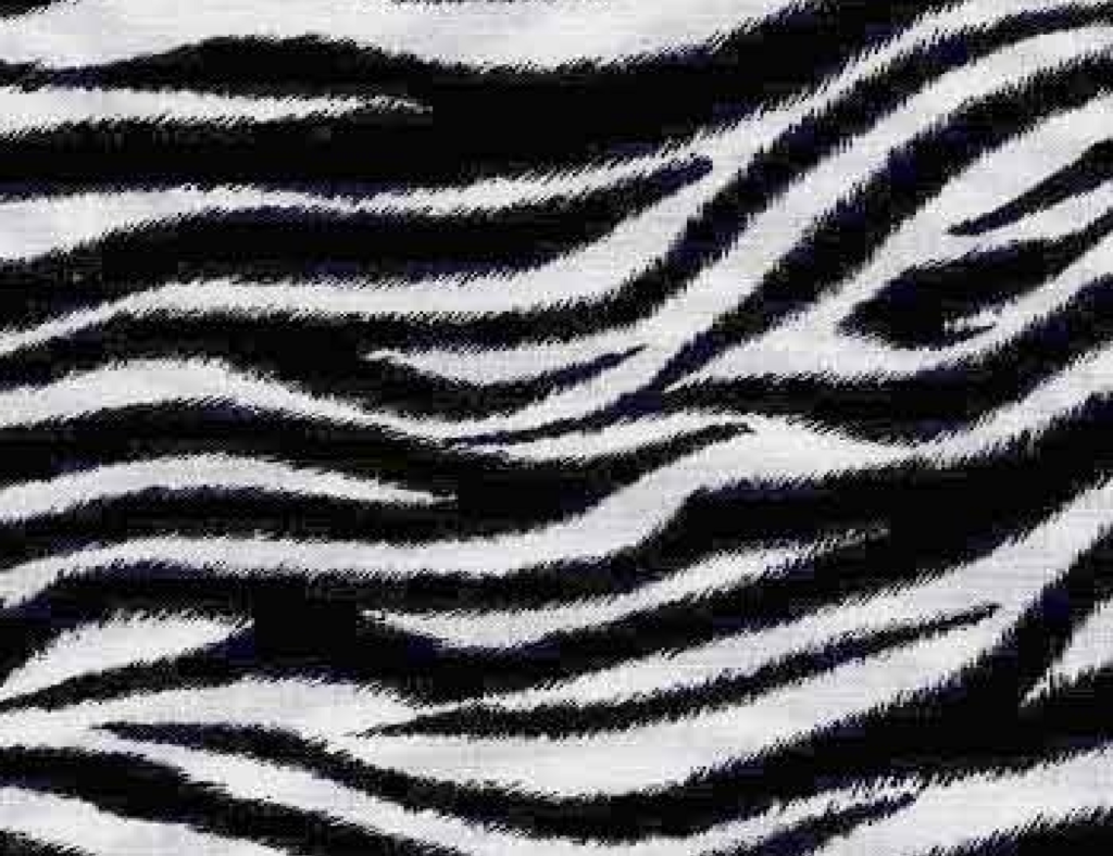 Background Zebra  Imagui Design