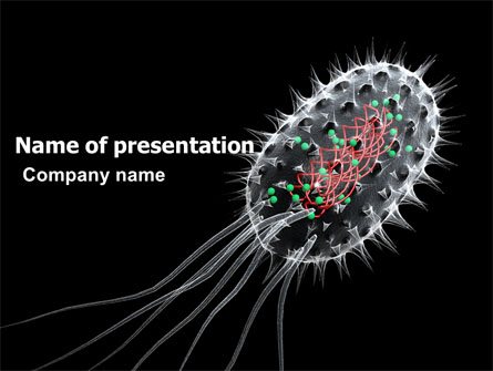 Bacteria Cell PowerPoint Template  03573   Slides