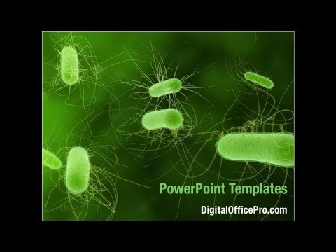 Bacteria PowerPoint Template  DigitalOfficePro #07158   Slides