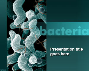 Bacteria PowerPoint Template Quality