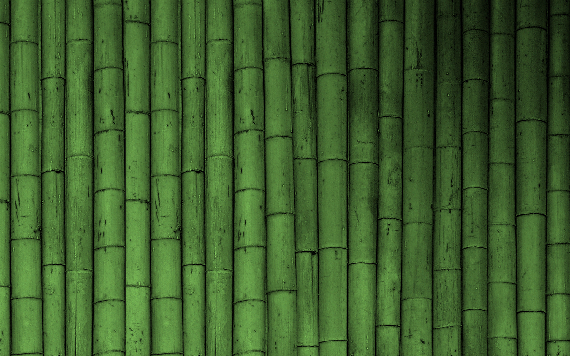 Bamboo Clip Art