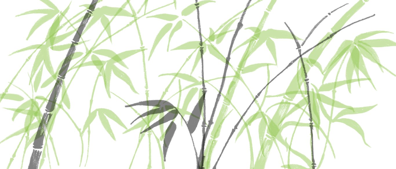 Bamboo Clipart