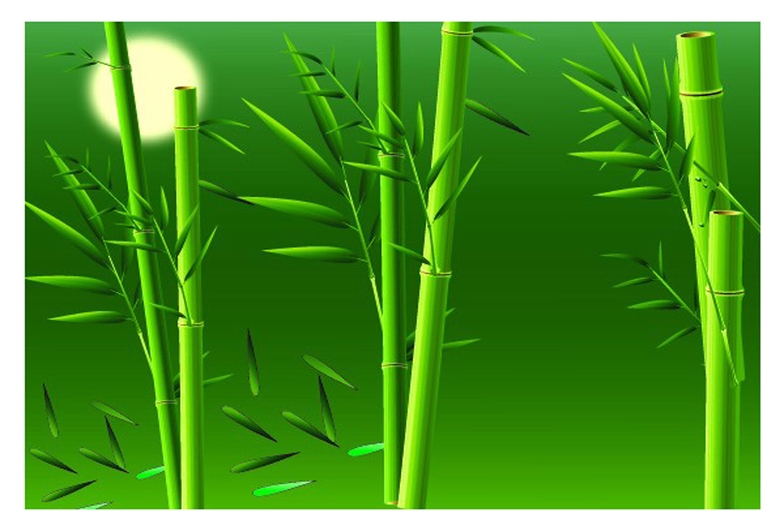 Bamboo Green With Sun Design