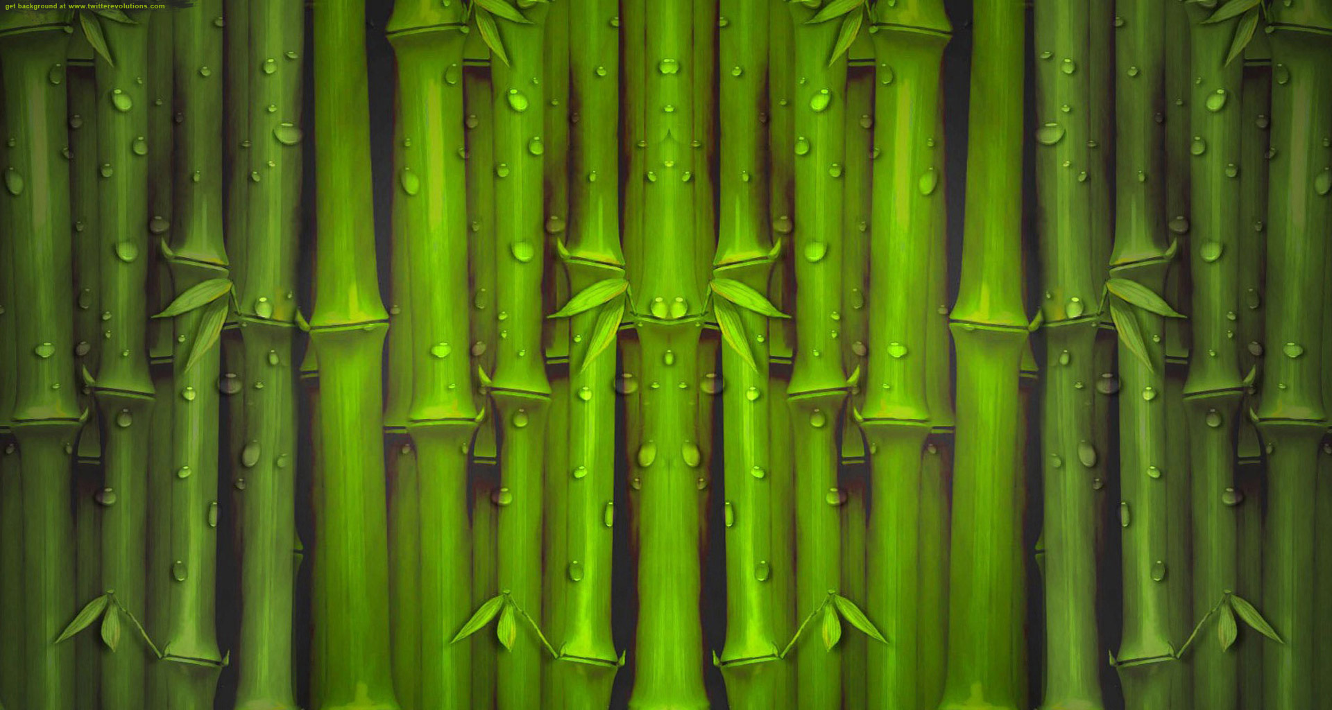 Bamboo Textured Clip Art