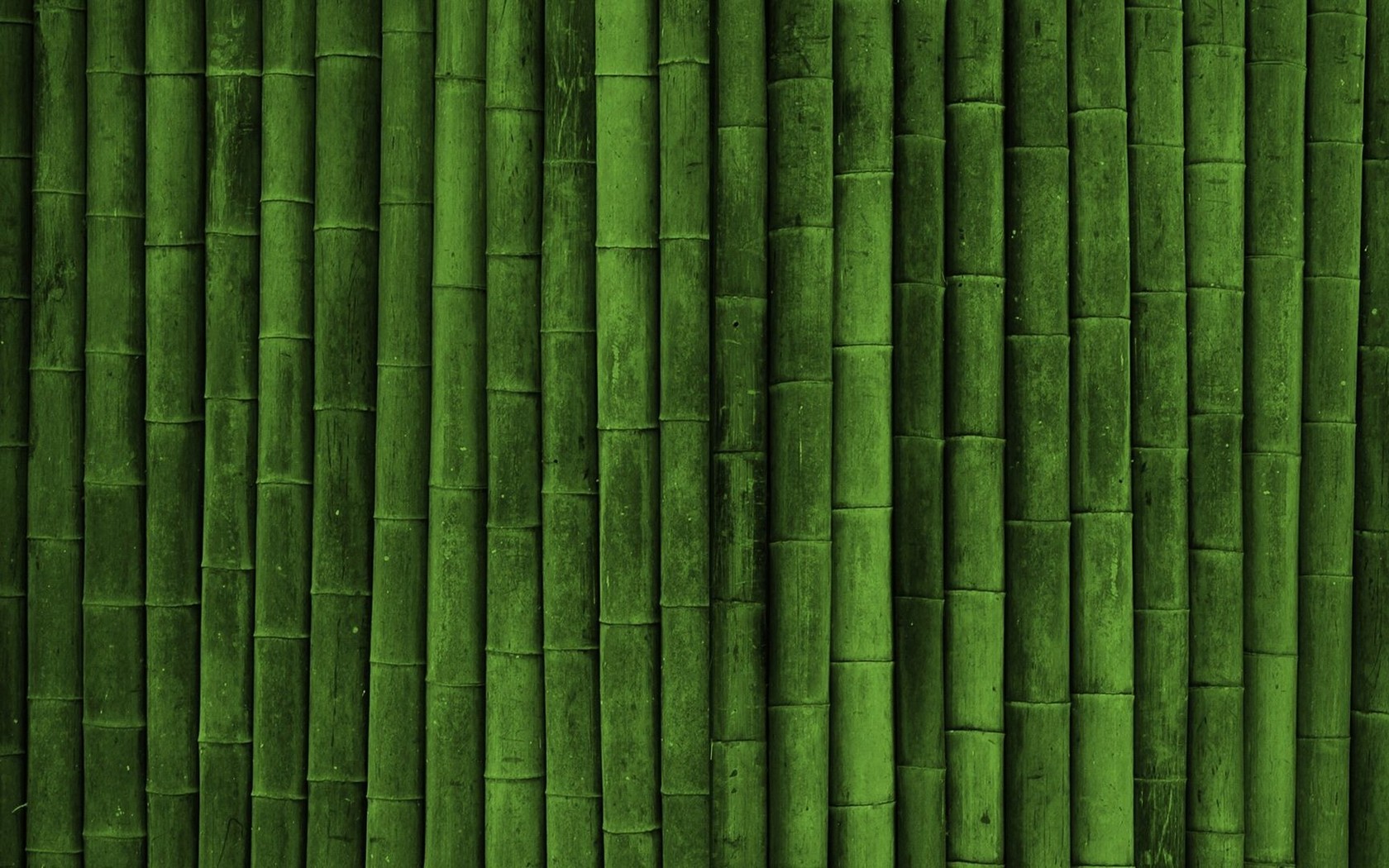 Bamboo Textures image