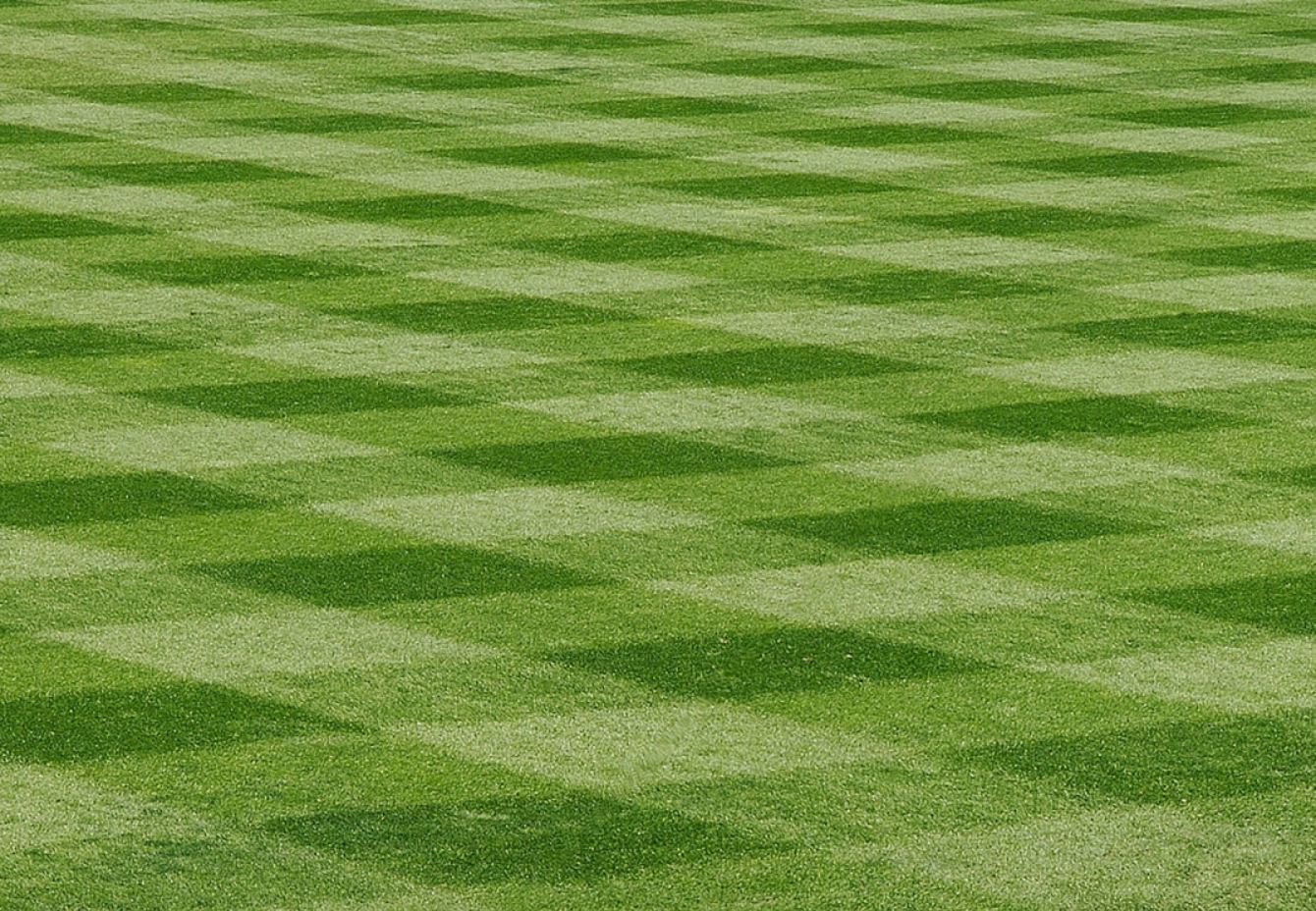 Baseball Field Graphic