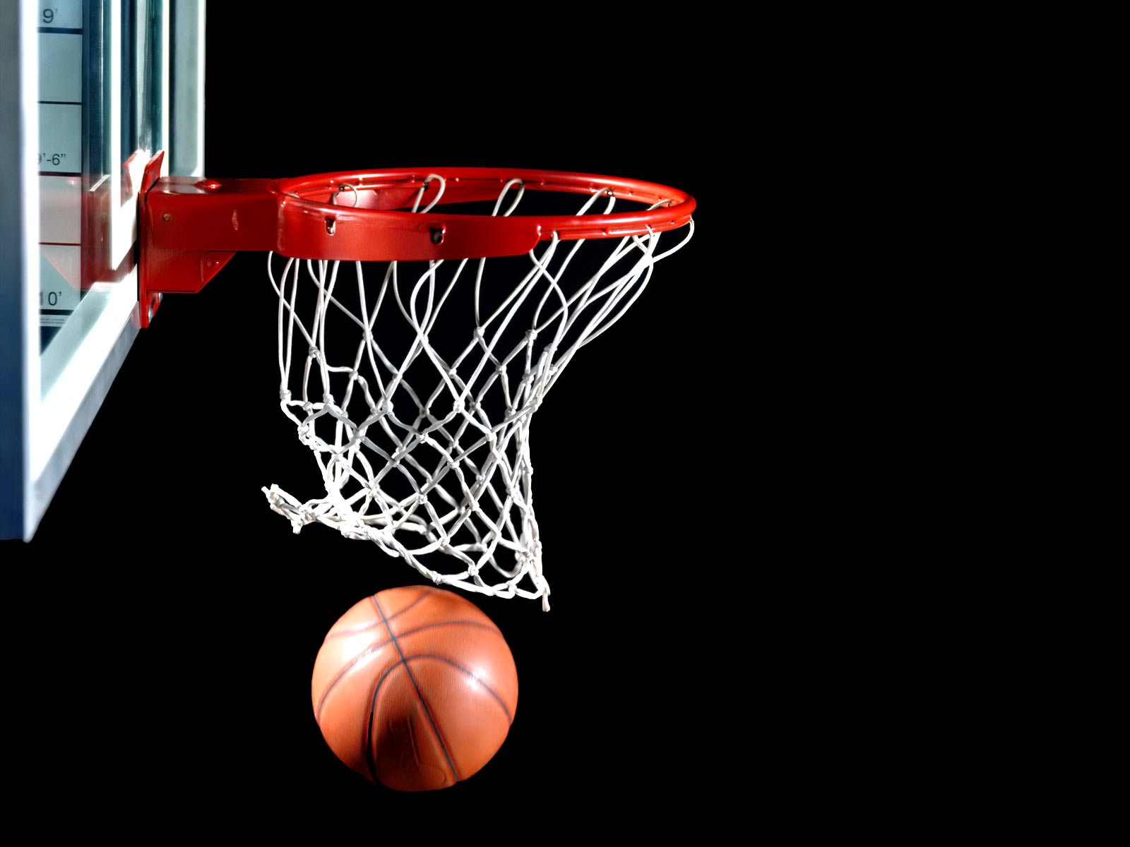 Basketball For Sports Templates   Wallpaper