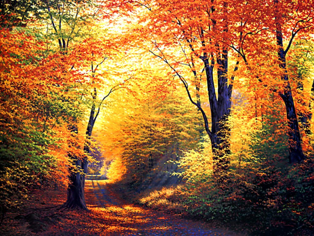 Beautiful Autumn Seasons HD  Nices Clipart