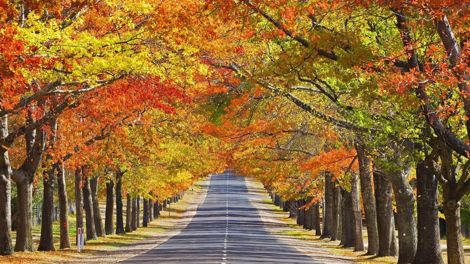 Beautiful Autumn Seasons HD  Nices Graphic