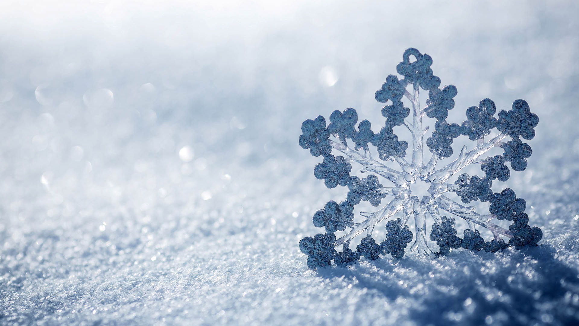 Beautiful Snowflake Texture Blue Hd  Art