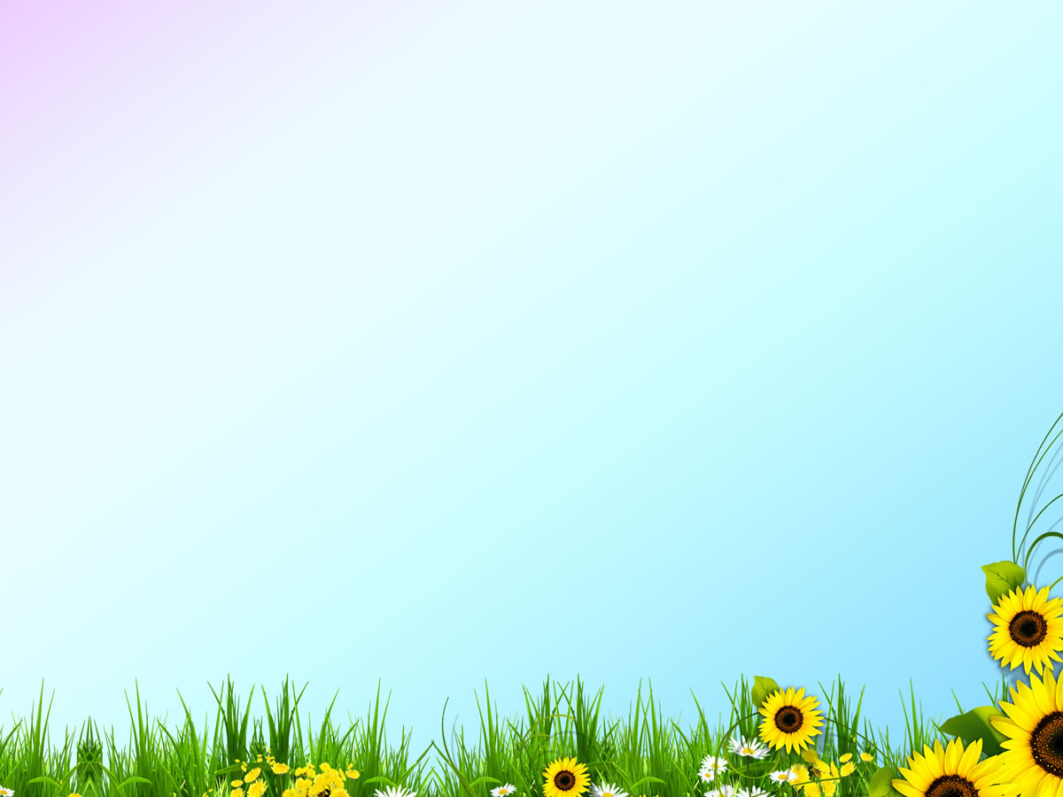 Beautiful Spring Template Template