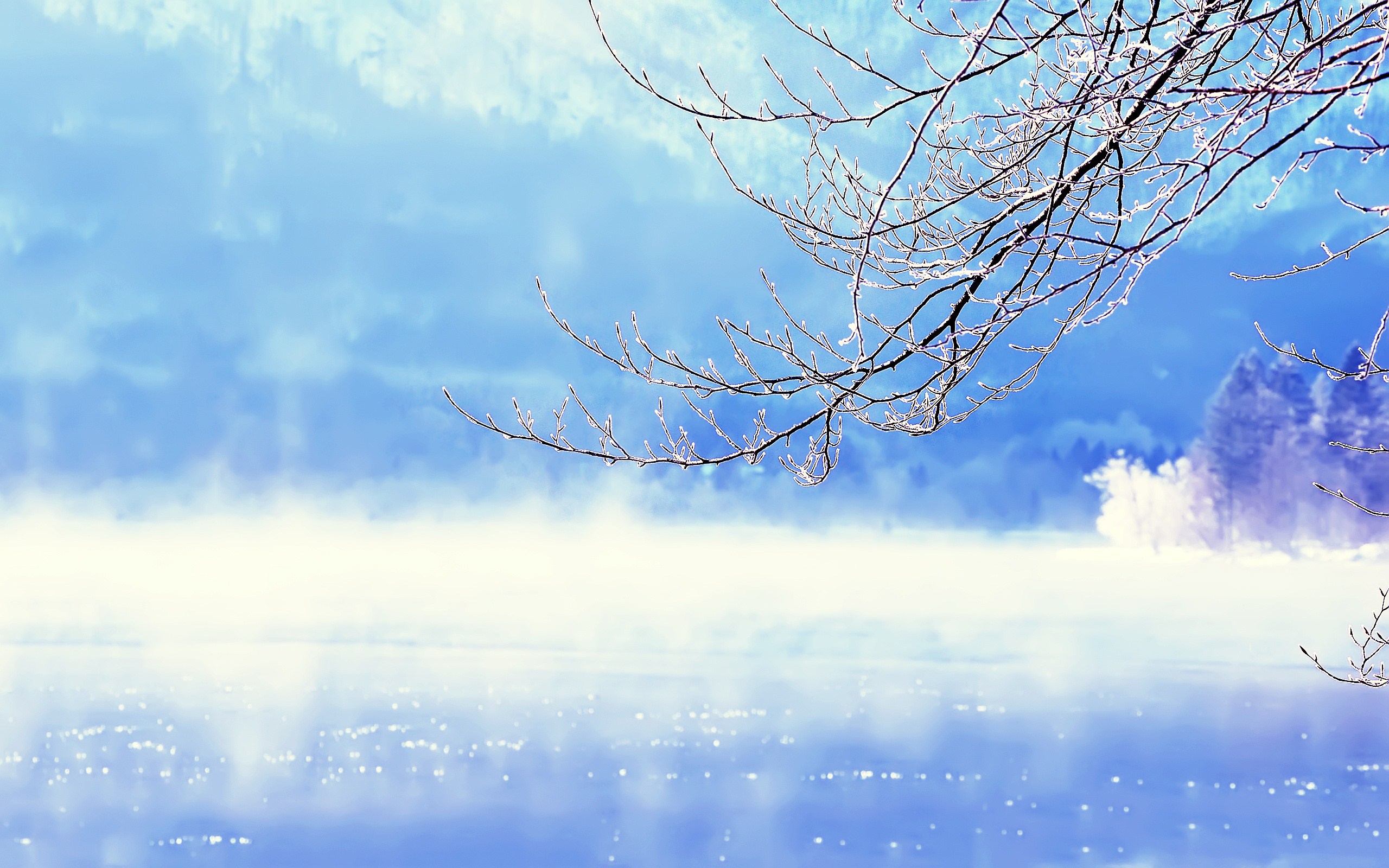 Beautiful Winter  High Definition High Quality   Graphic