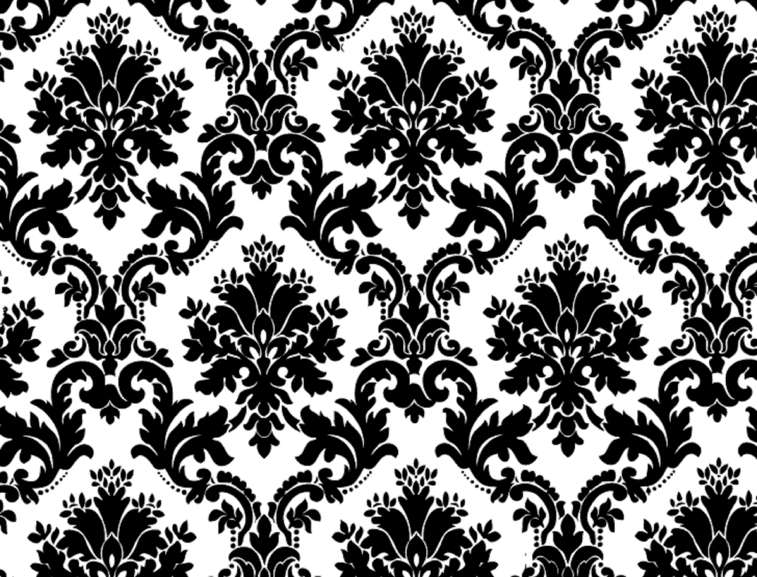 Black and White Designs Vector