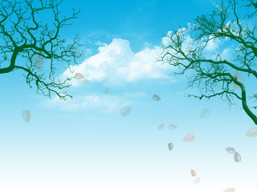 Blue Sky and Trees PowerPoint  PPT Photo