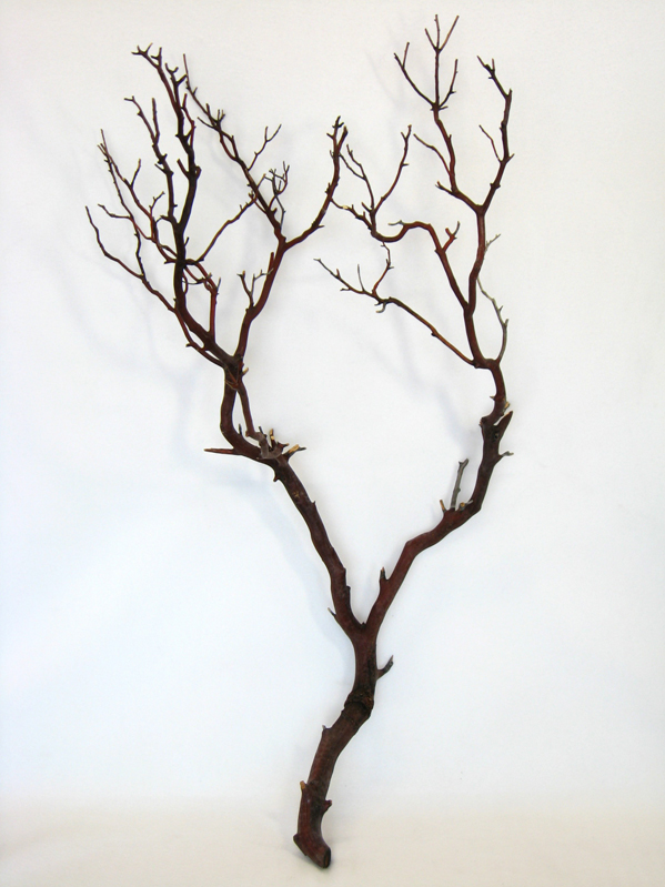 Branches Clip Art