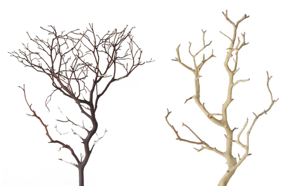 Branches Template