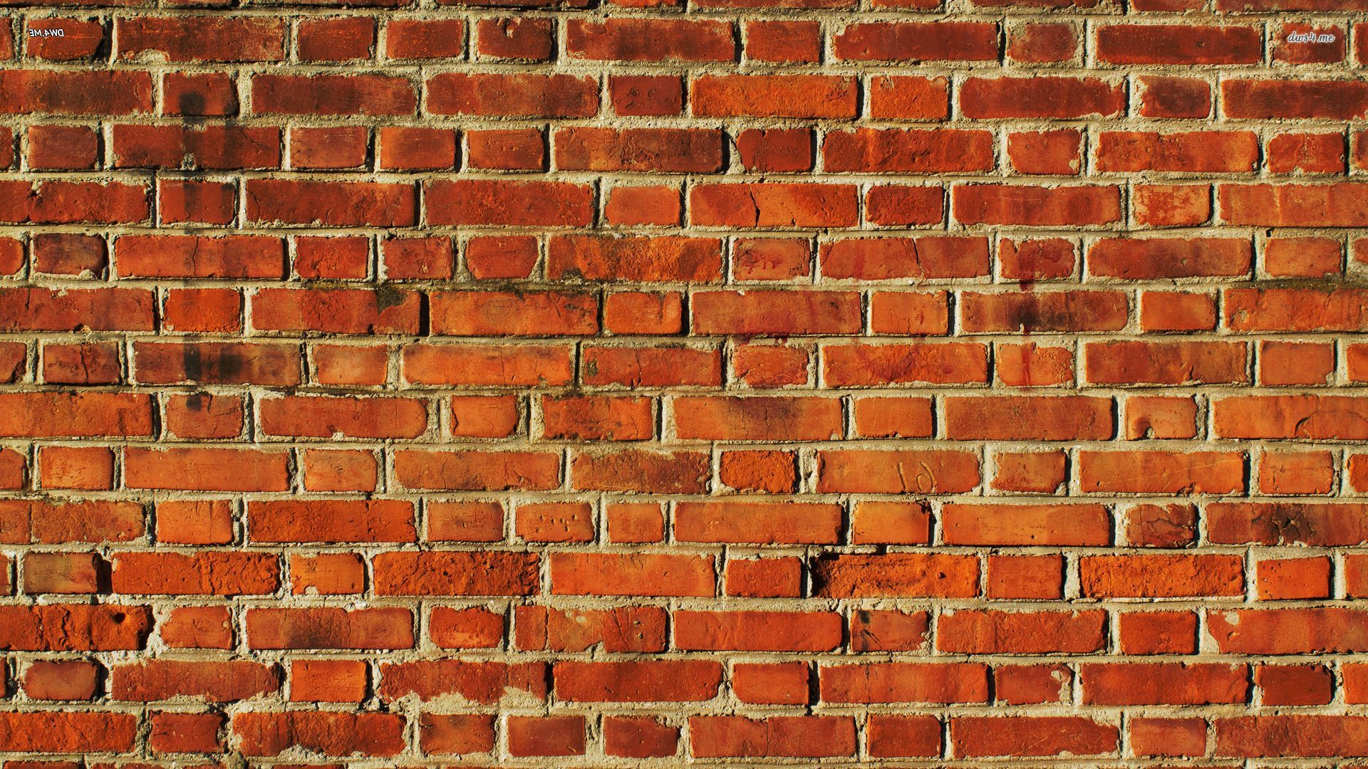 Brick Wall Graphic