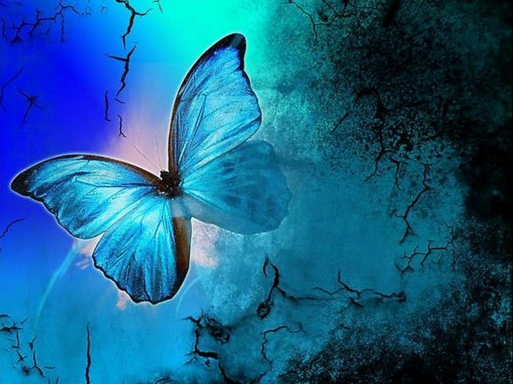 Butterflies Blue HD