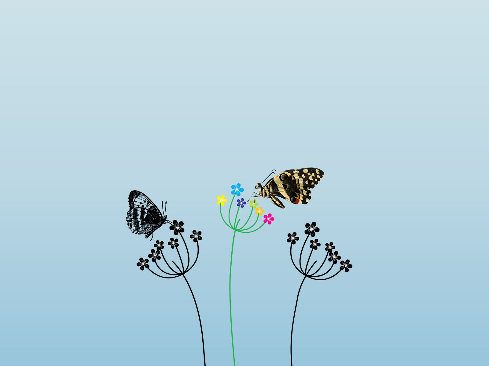 Butterfly and Summer Flowers