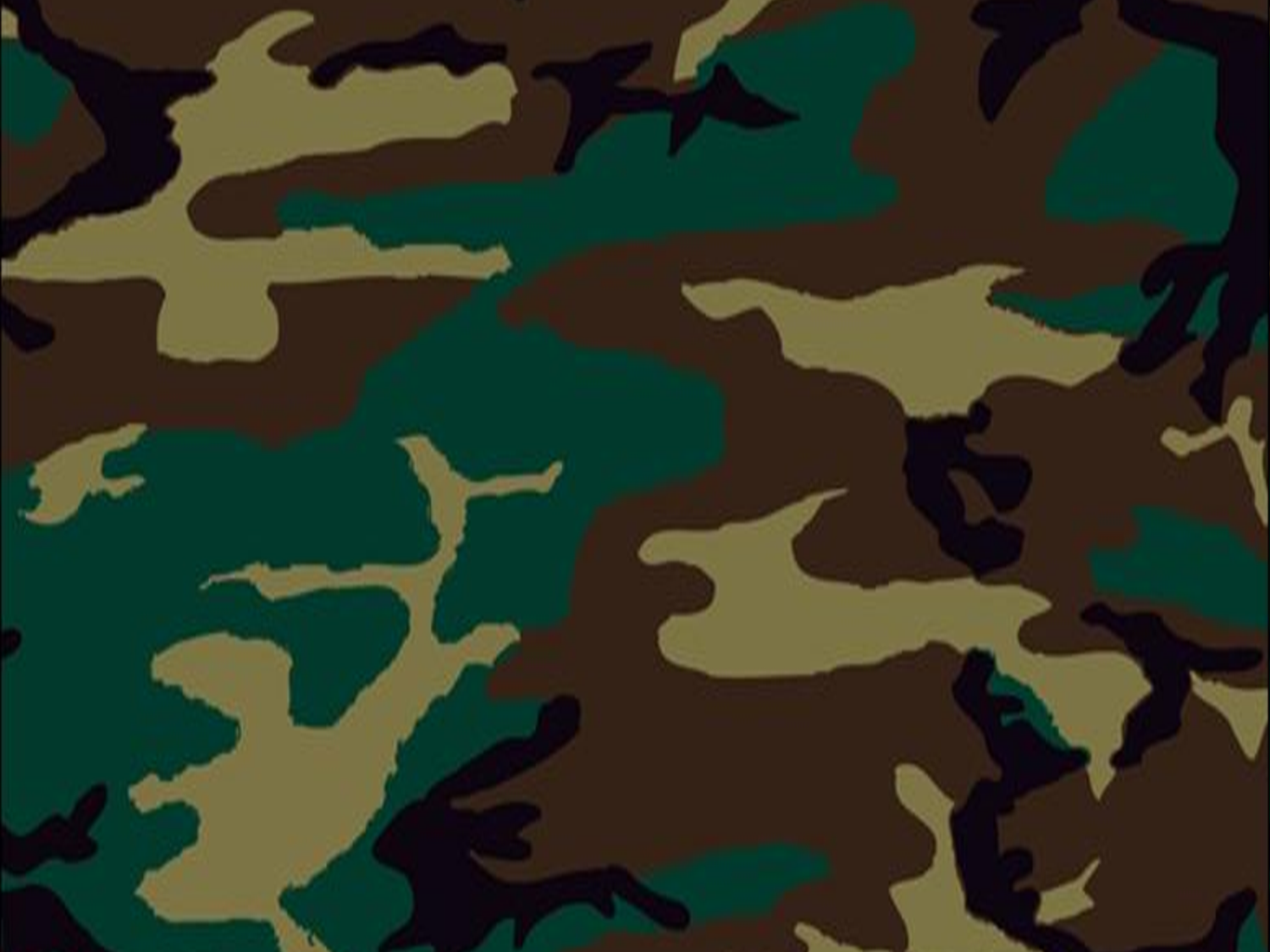 Camouflage  Cave Slides