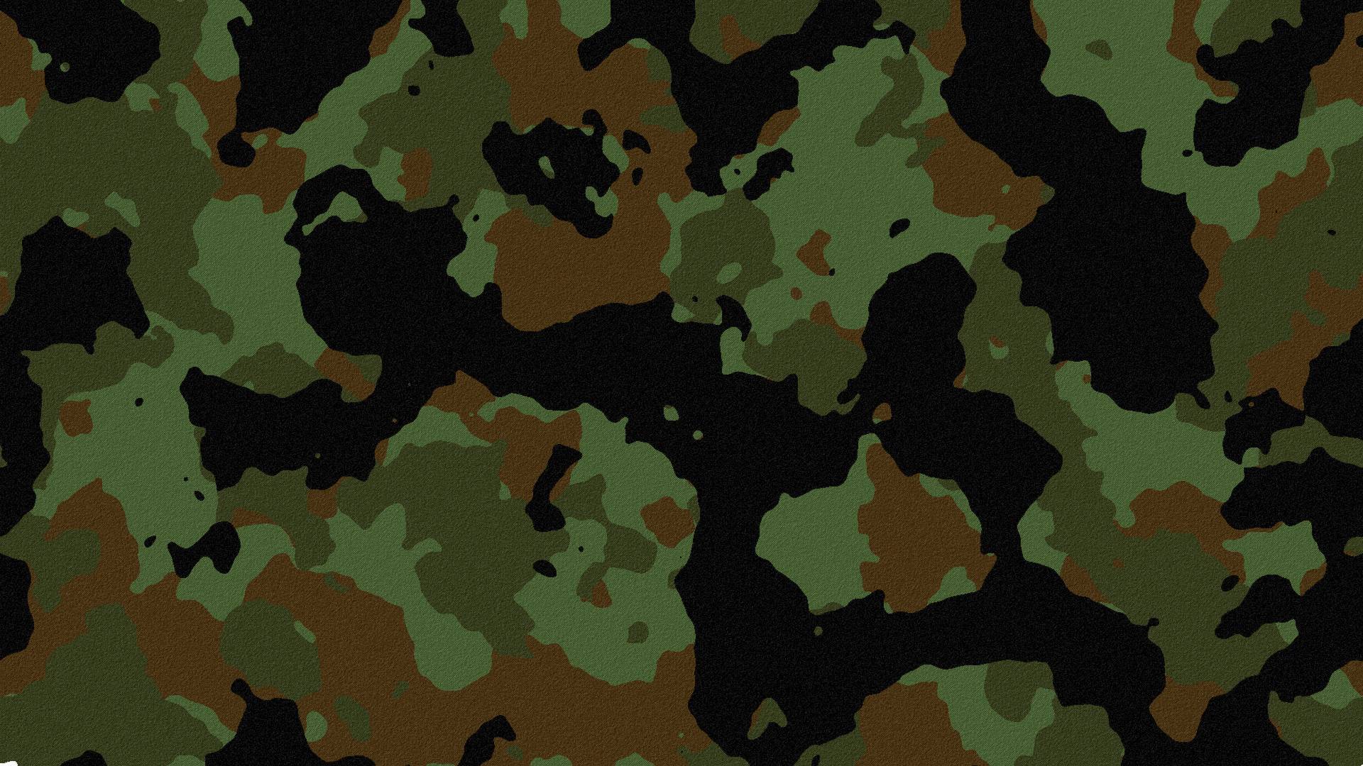 Camouflage Desktops Photo