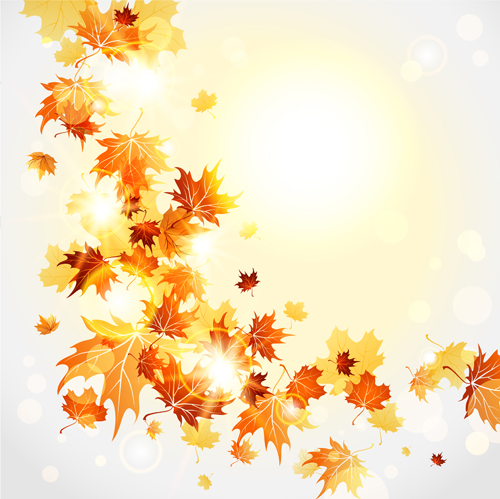 Cartoon Fall Leaves Bright Autumn Leaves Vector   Download