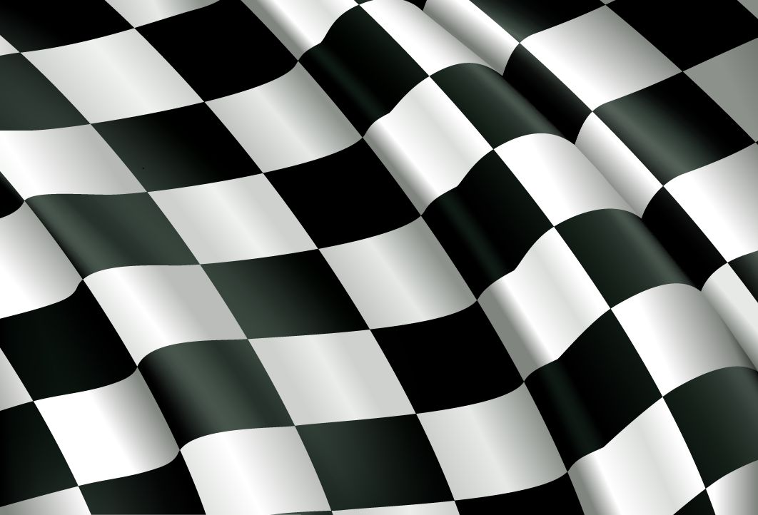 Checkered Flag Vector image