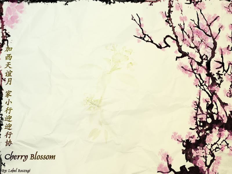 Cherry Blossom Presentation