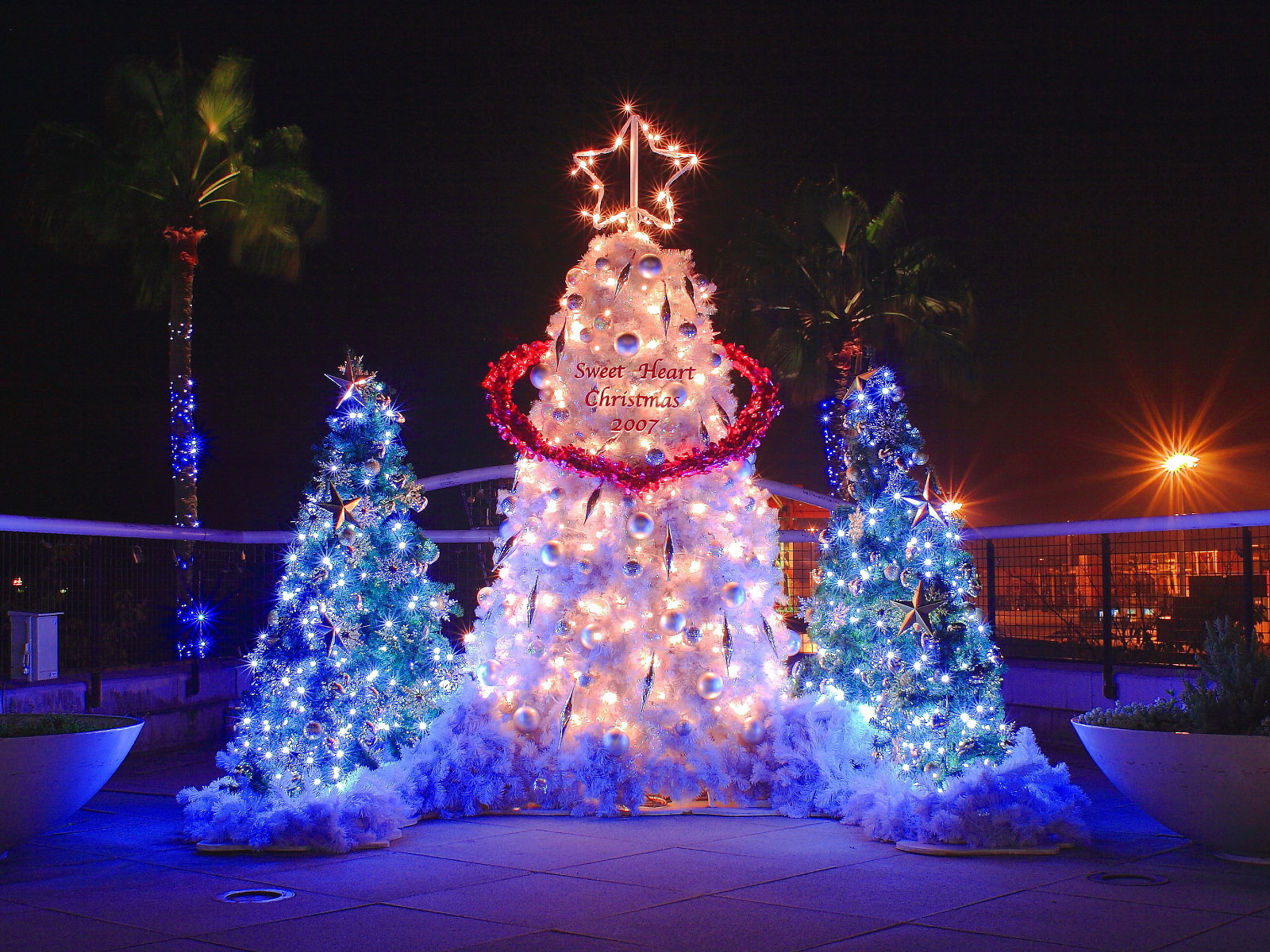 Christmas Lights image