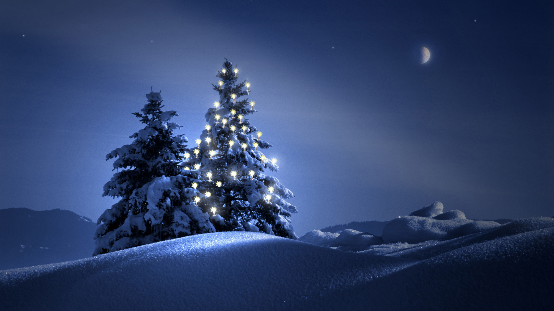 Christmas Trees  Desktops