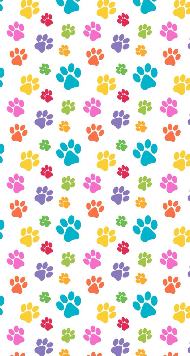 Colorful Paw Prints IPhone