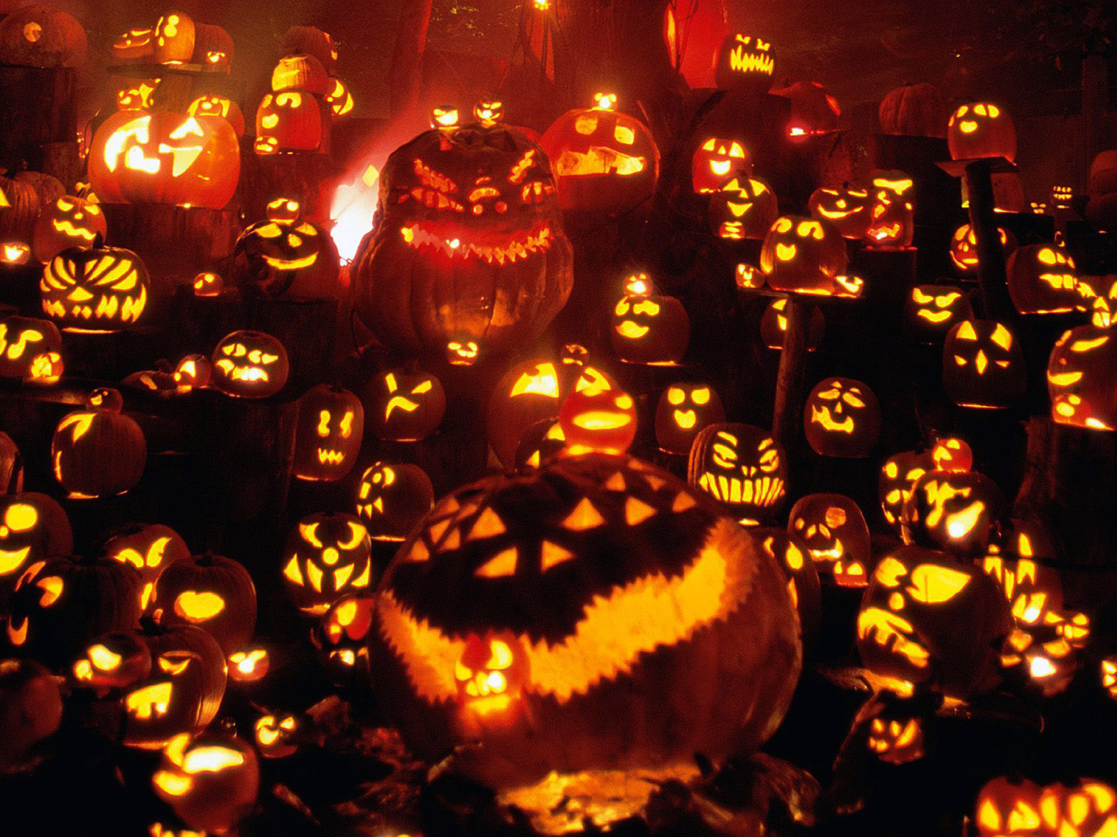 Cool Halloweens and Halloween Ins For Free   Picture