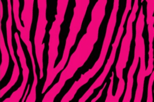 Cool Zebra Print Hot Pink Zebra Print Presentation