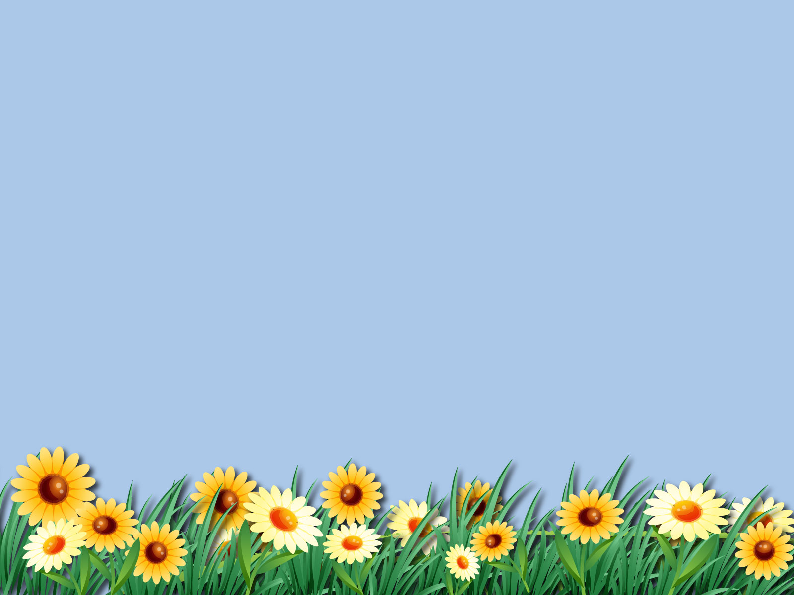 Daisy Flower Unique Wallpaper