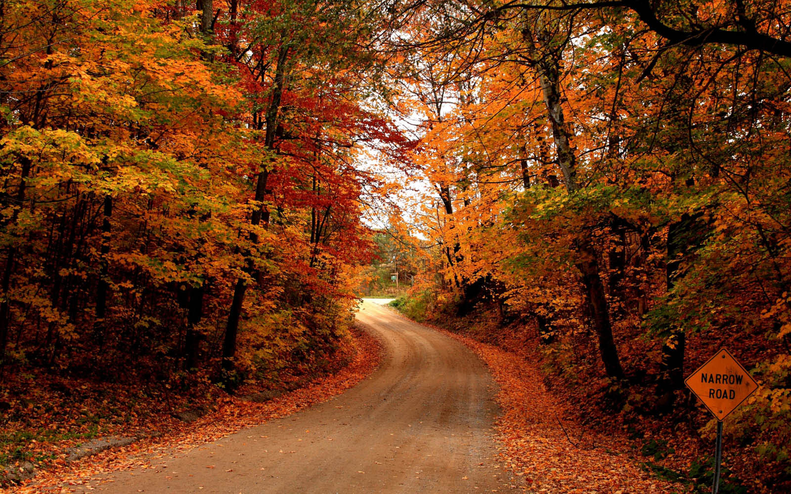 Desktops Autumn Road Desktops Clip Art